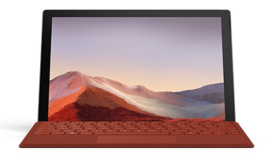 天门清洁和维护 Surface